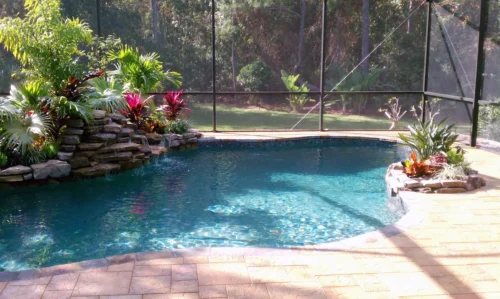 Freeform, lagoon style pool with waterfall feature and planters inside screened enclosure
