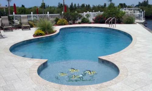 Freeform pool with sun shelf