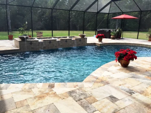 Freeform pool with water and fire features inside screen enclosure