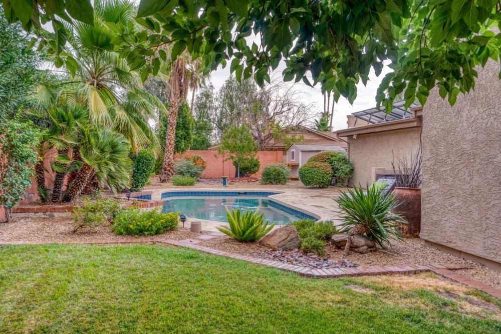 pool builder in Tampa