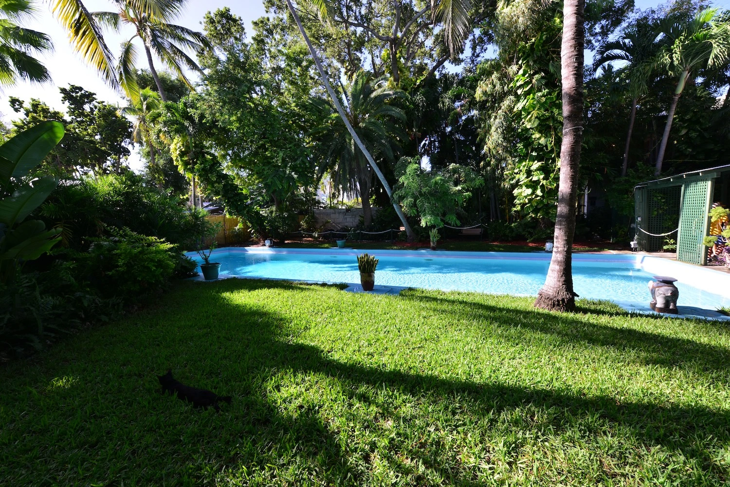 pool builder in Tampa